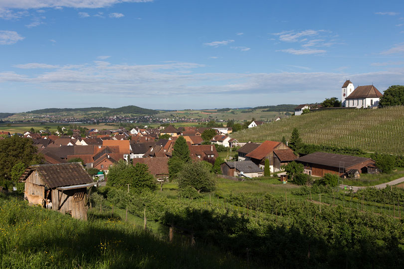 Wilchingen