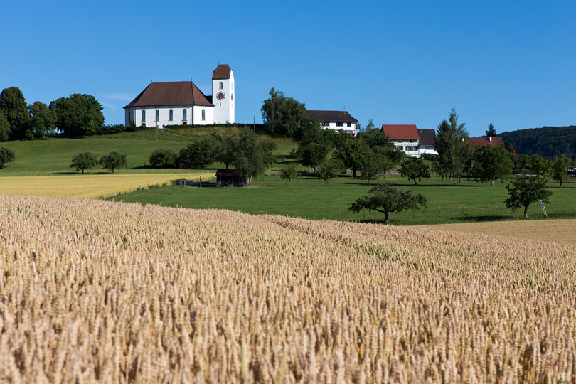 Kirche Wilchingen