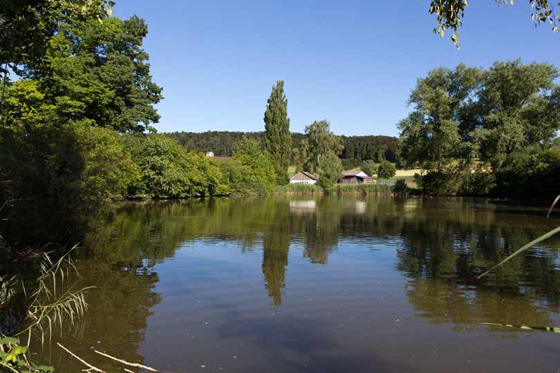 Villa Haslach Wilchingen