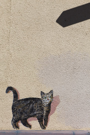 Wandbild mit Katze