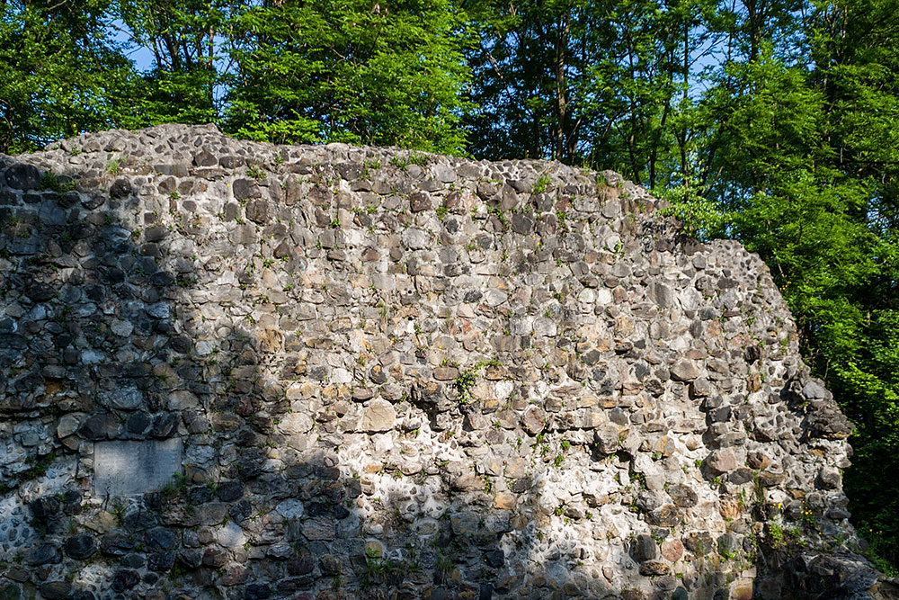 Ruine Rosenberg in Herisau