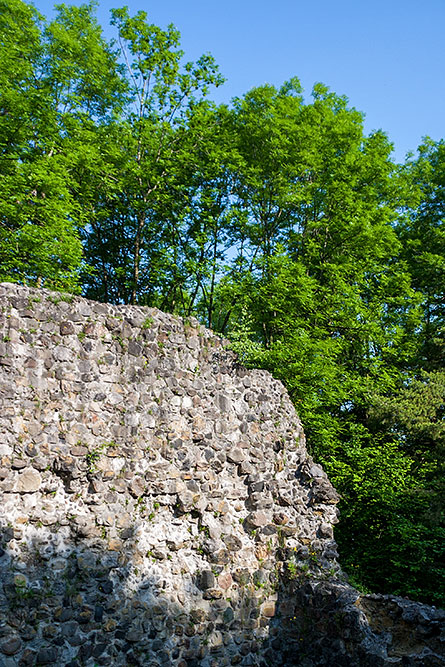 Ruine Rosenberg in Herisau