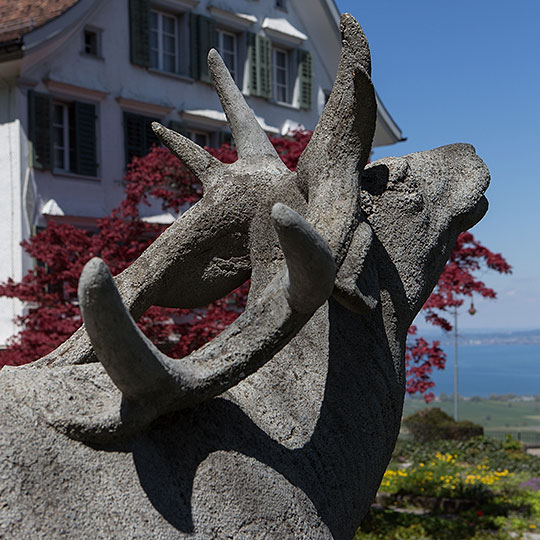 Hirschbrunnen in Walzenhausen