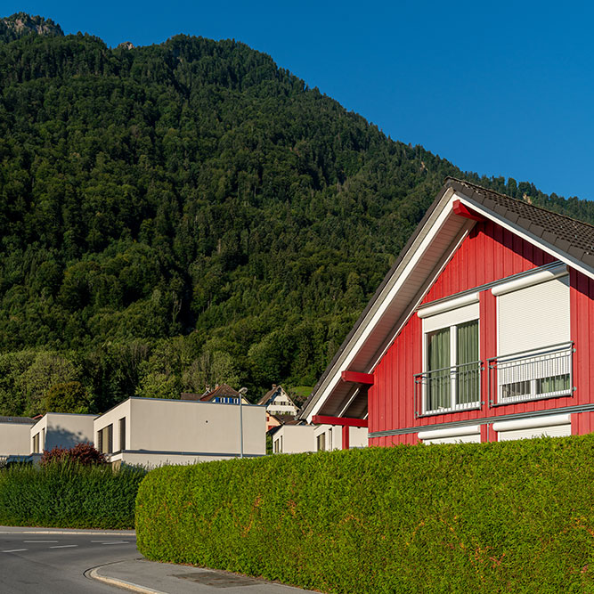 Bilten