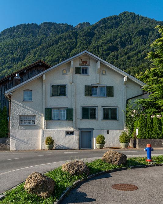 Bilten