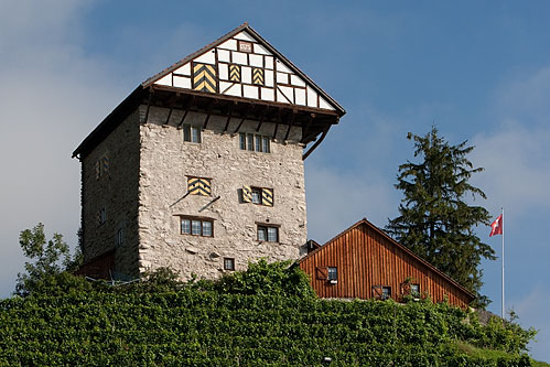 Burg Neu-Altstätten