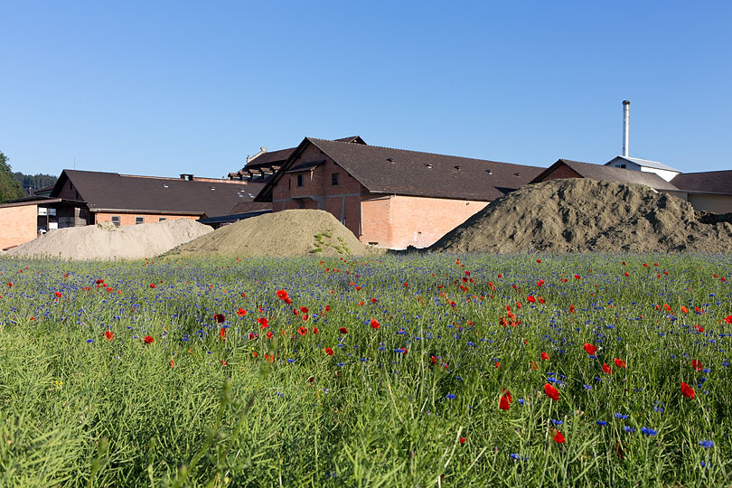 Ziegelei in Berg TG