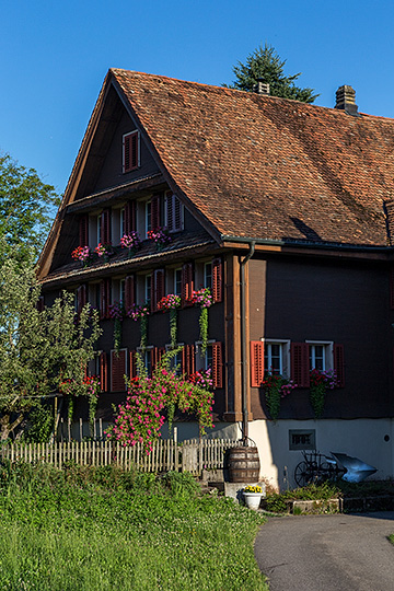 Rüedihof in Hinterburg