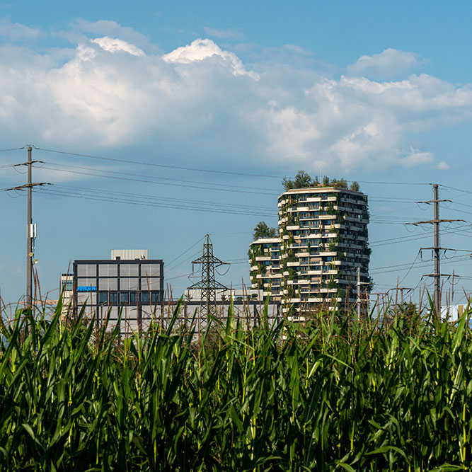 Blick nach Rotkreuz