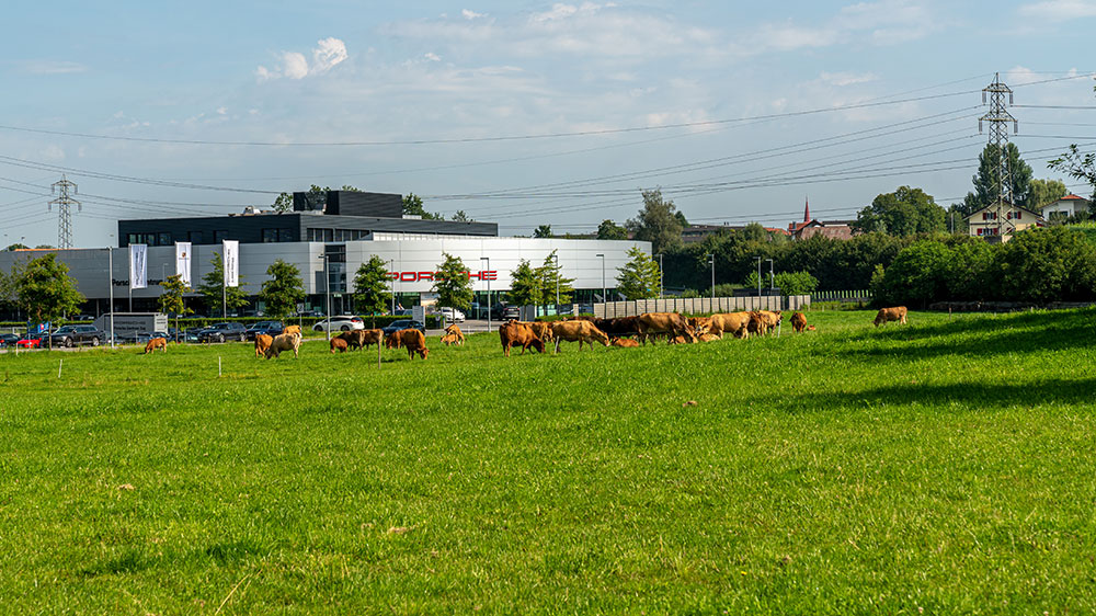 Blegistrasse Rotkreuz