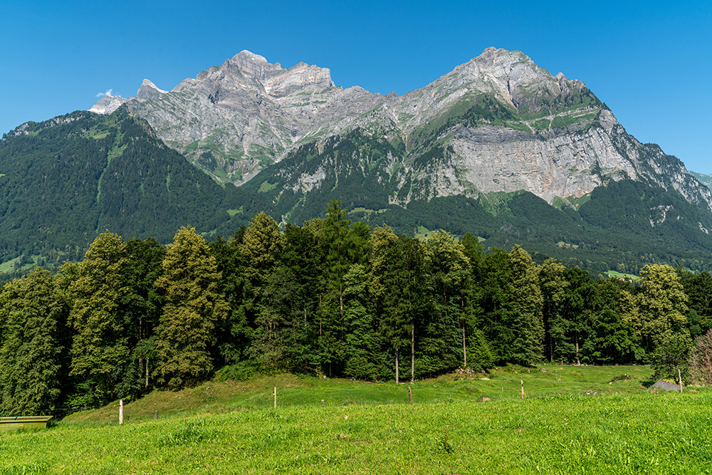 Vrenelisgärtli und Vorderglärnisch