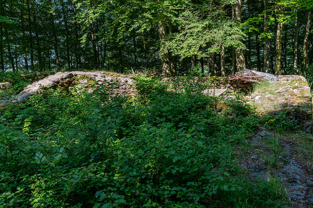 Burgruine Sola