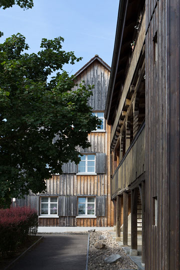 Roter Ochsen in Flüh SO