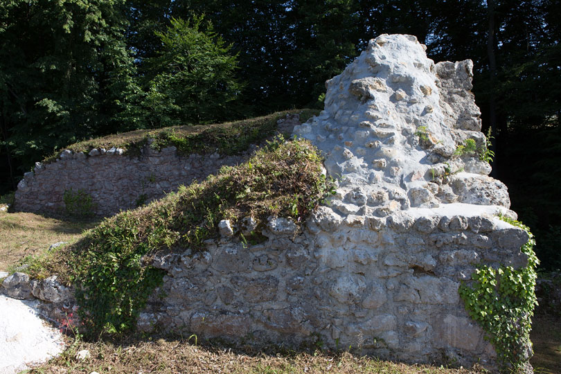 Ruine Sternenberg