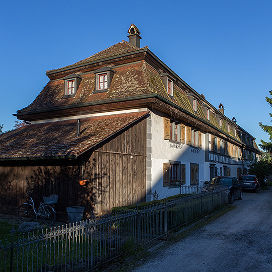 Gelbbau in Hauptwil