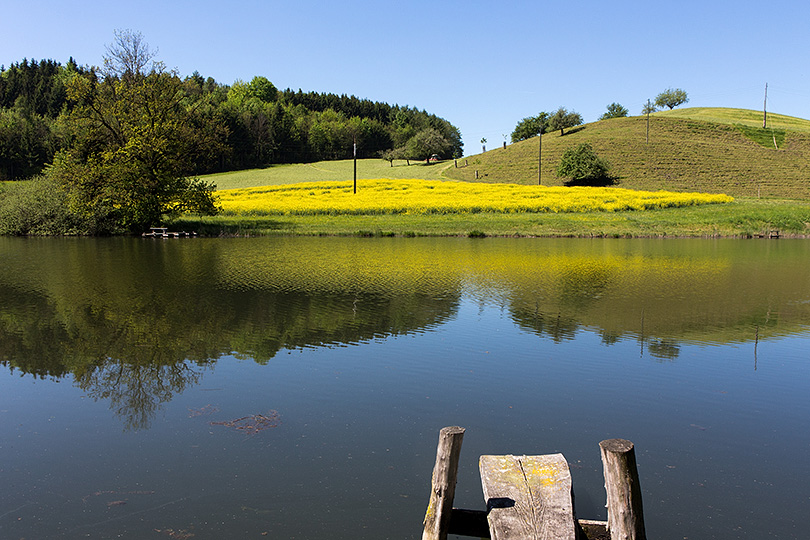 Horbacher Weiher