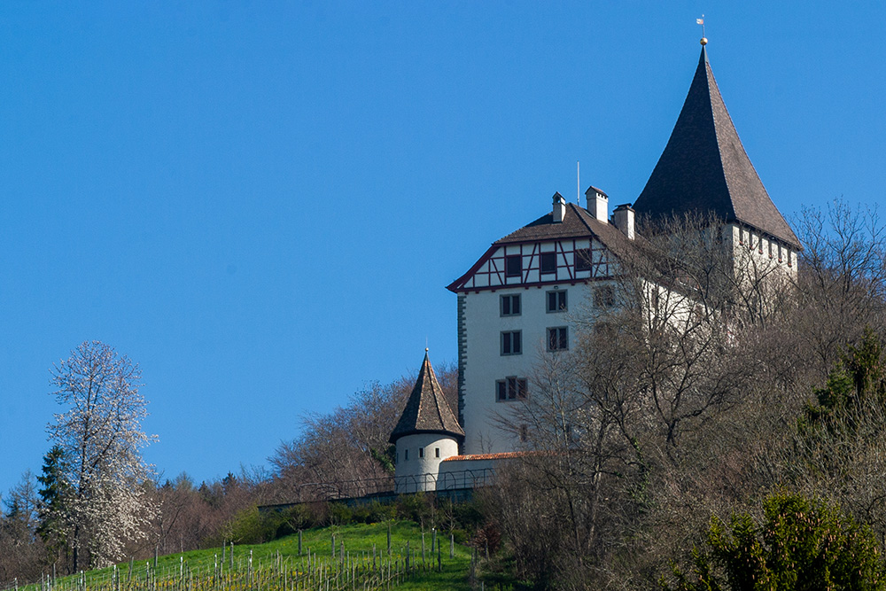 Schloss Weinfelden