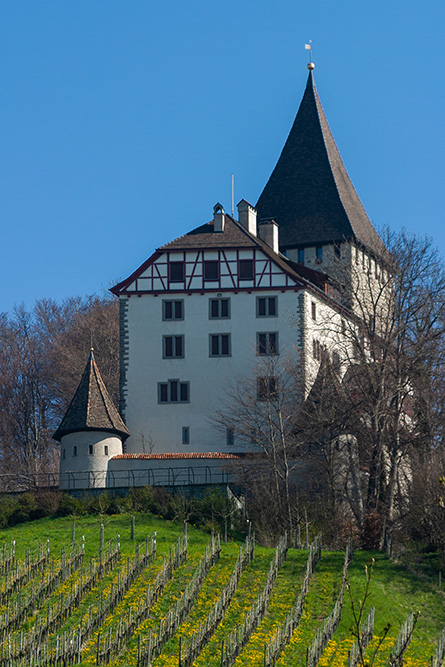 Schloss Weinfelden