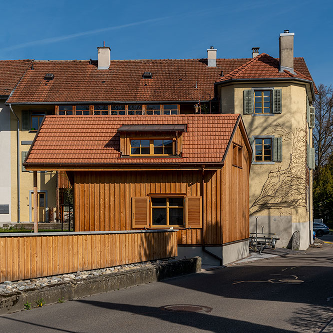 Ochsen in Frauenfeld