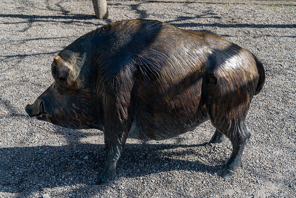 Wildschwein