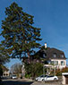 Frauenfeld-079