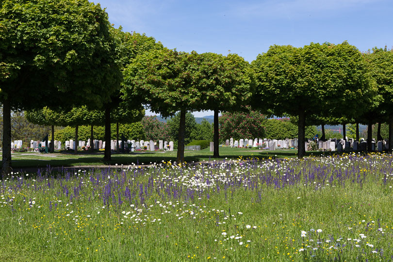 Friedhof von Möhlin