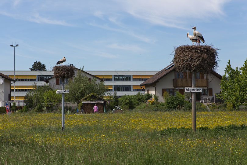 Storchenstation Möhlin