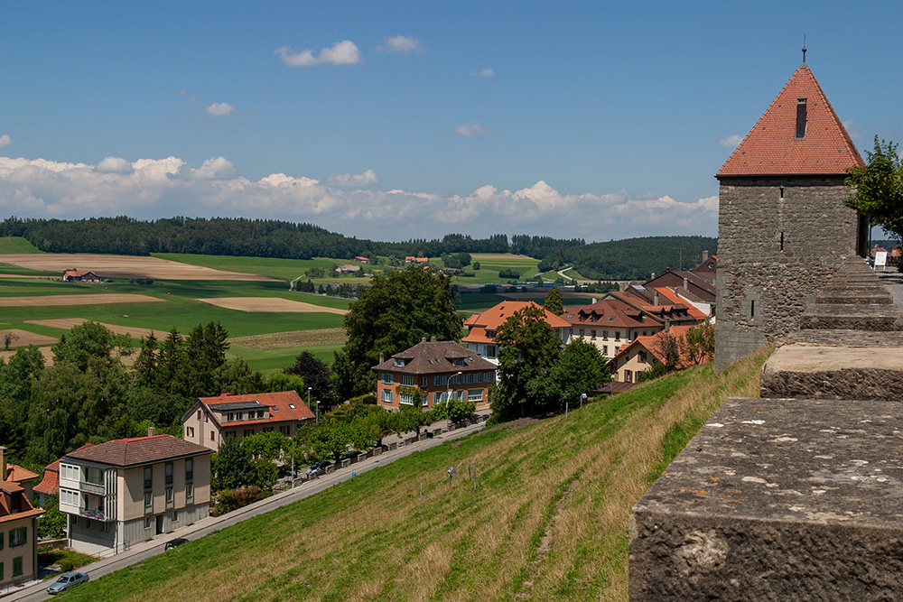 Tour du sauvage à Romont FR