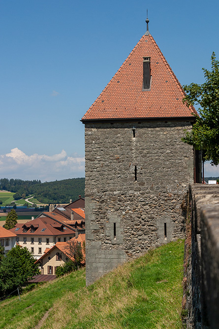 Tour du sauvage à Romont FR