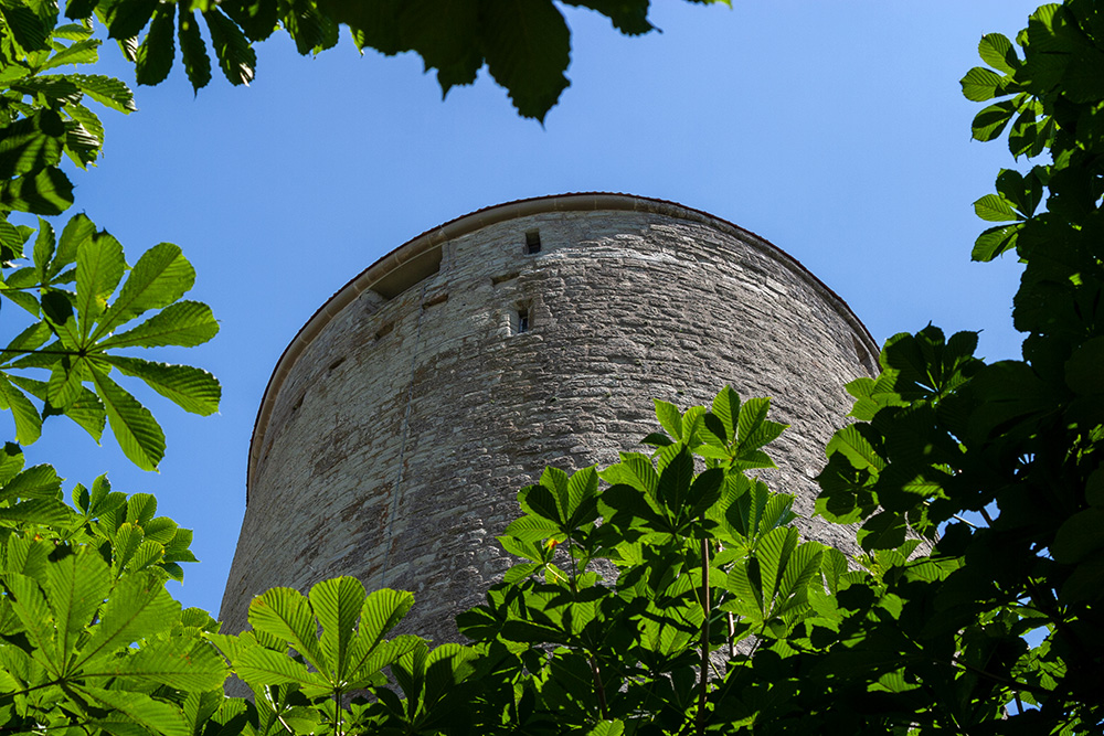 Tour à Boyer à Romont FR