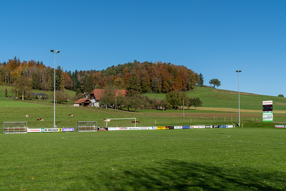 Terrain de football