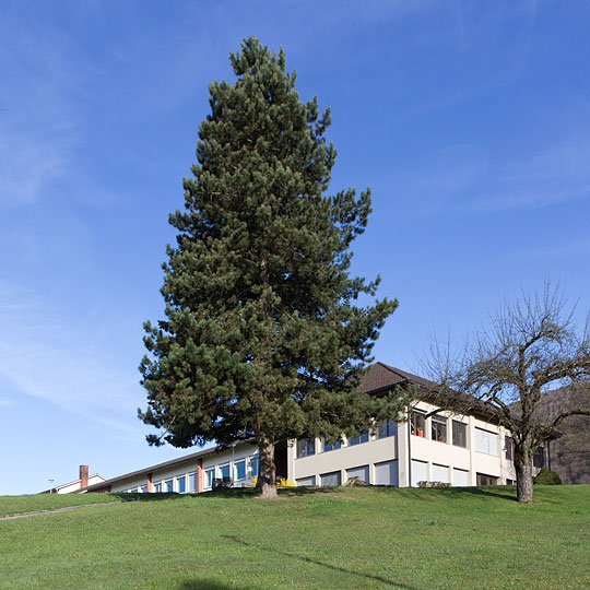 école primaire à Montsevelier