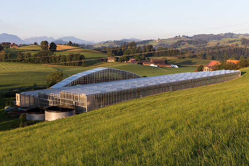 Tropenhaus Wolhusen