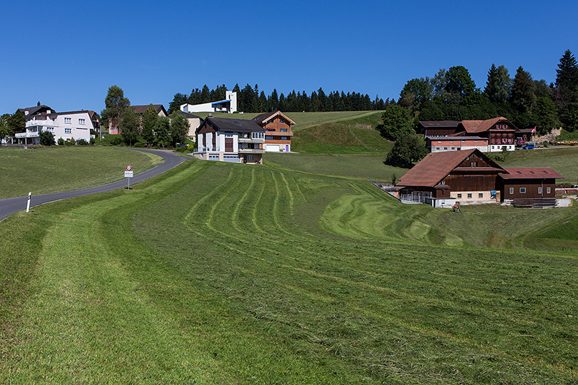 Steinhusen (Steinhuserberg)