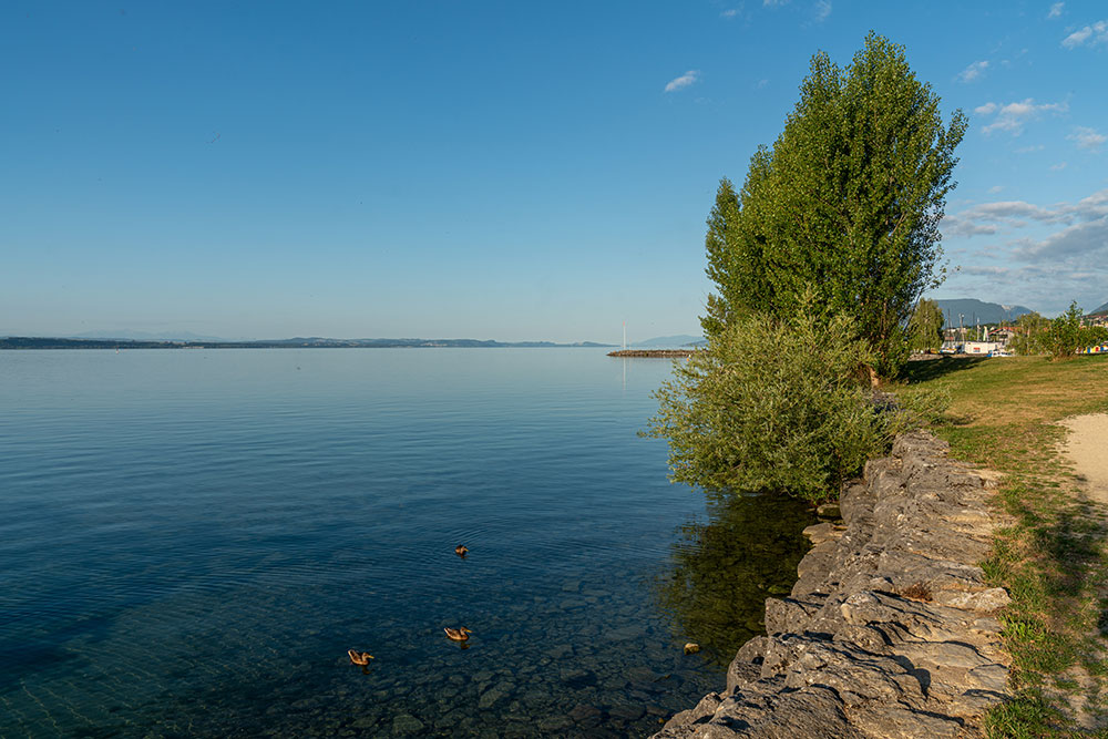 Lac de Neuchâtel
