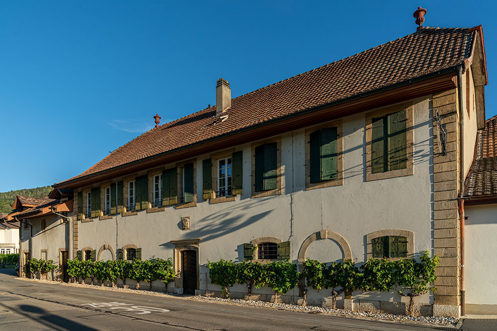 Domaine Hôpital Pourtalès