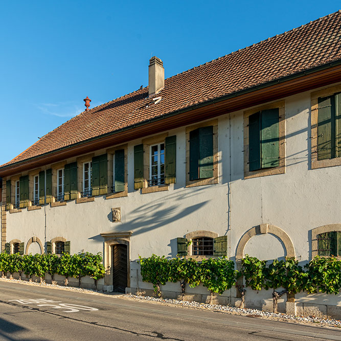 Domaine Hôpital Pourtalès