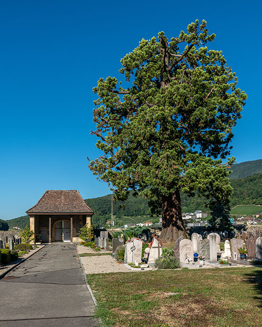 Cimétière de Cornaux