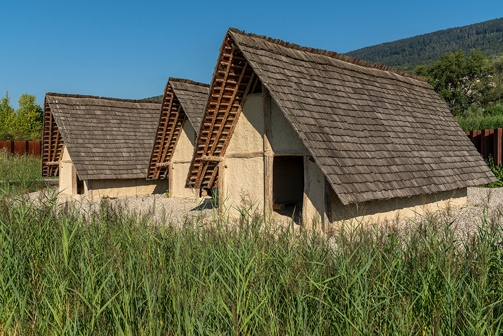 Laténium, Hauterive NE