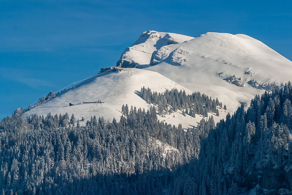 Niederbauen