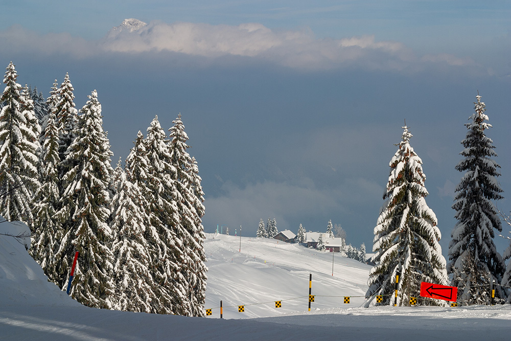 Piste Twäregg