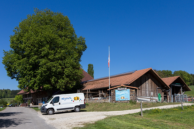 Weyeneth-Kürbis-Erlebniswelt Lüterkofen