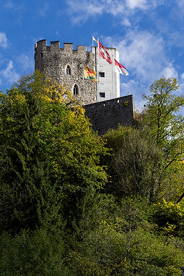 Ruine Neu-Thierstein