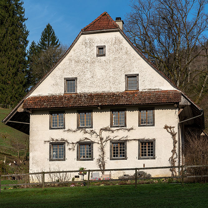 Alte Geige in Lostorf-Bad