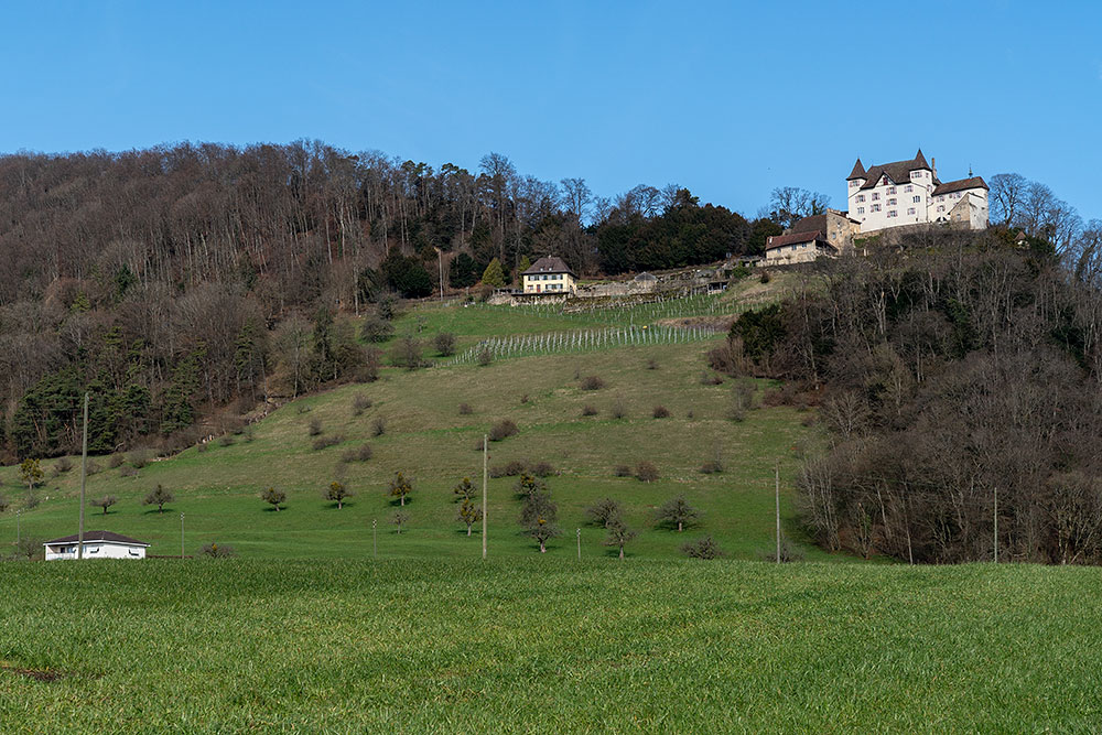 Schloss Wartenfels