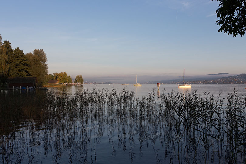 Freienbach am Zürichsee