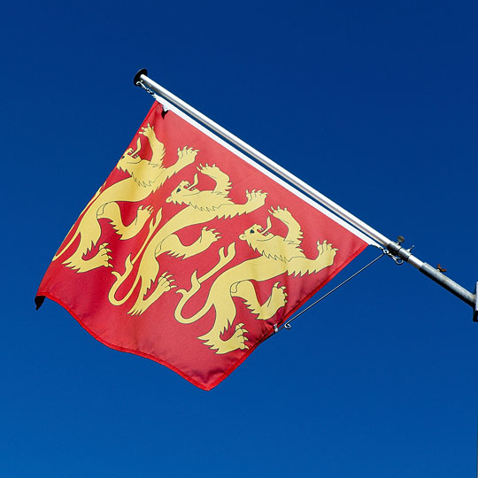 Gemeindeflagge Freienbach