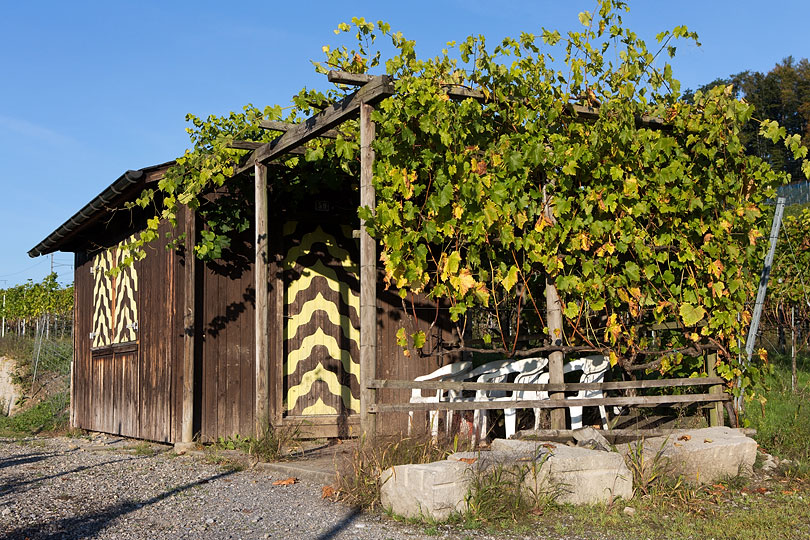 Rebhäuschen in Freienbach