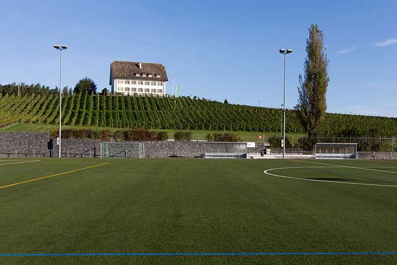 Rebberg und Leutschenhaus