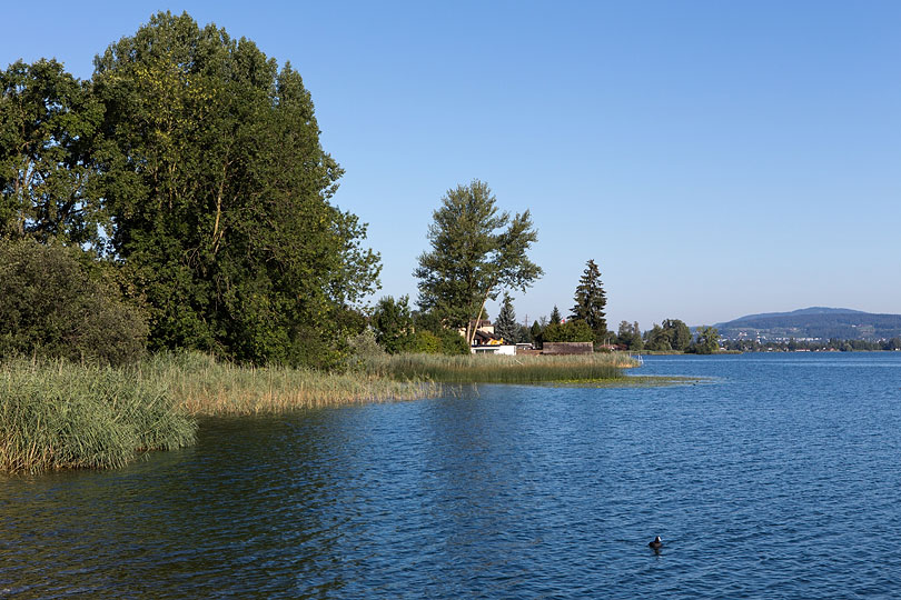 am See in Altendorf